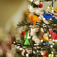 高挑人妻无奈张开腿 疯狂的肥岳交换