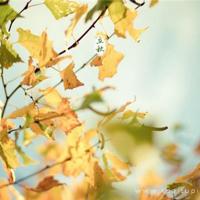 乡村妖孽小村医完整版全文免费阅读，age动漫动画官网