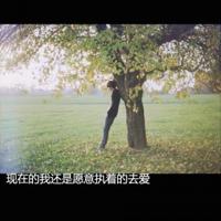 表达爱情的唯美句子 浪漫唯美的爱情语录