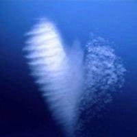 2021抖音最火友情句子