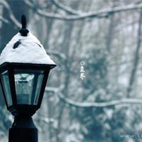 关于友情的唯美句子短