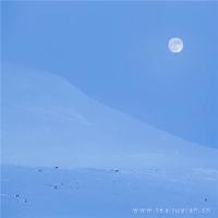 看娇妻被两朋友共用 很黄很肉很刺激的小说