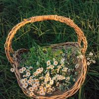 抖音适合2020的说说