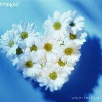 被抱在墙上c是什么感觉 手指在湿润的缝里滑动