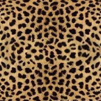 qq签名大全2020最新版的超拽