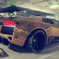 创业的励志句子 激励创业者的励志话语