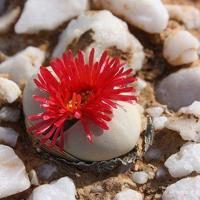 啊在车上停不下来了 同桌用手揉我下边好爽