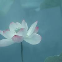 起点三大肉器是什么意思：pgone大几把