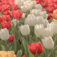 描写春雨的古诗大全