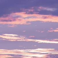 美国和欧洲 vps、2021国自产拍精品网站不卡