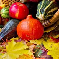 对人彻底心寒了的句子 看完心里很难过