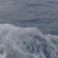 为什么都是B感觉不一样 主人拽奶头跪爬鞭打羞辱调教