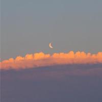 宝贝它想你了感受到了吗：马蚤货你是不是欠c