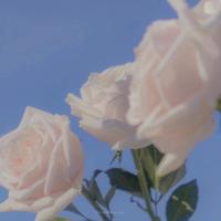 被拉到野外强要好爽漫画 要了她的第一次好爽好紧