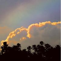 2019精选交通安全知识顺口溜