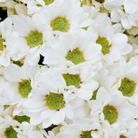 yy个性签名设计短句