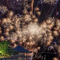 国自产精品手机在线视频,美女gif趴跪式动态图