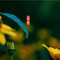 世界爱情名言经典语录