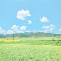 描写心情失落的说说