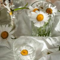 100句情话短句对男朋友 女生对男生说的最好的一百句短句情话