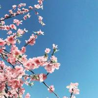 快手签名怎么写吸引人