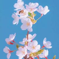 深夜心情不好发朋友圈的句子