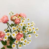 放荡老师张开双腿任我玩 公么吃奶摸下面好舒服