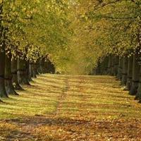 凌辱调教|最刺激的一次性经验