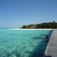 调查取证申请书 刑事调查取证申请书