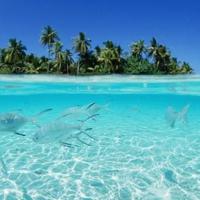 女生霸气句子超拽冷酷 女生生活超拽霸气坚强句子,与爱情无关的