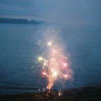 描写牡丹的诗句古诗