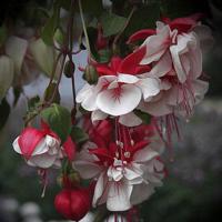 抖音关于洒脱的句子