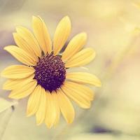 唯美语录心情 唯美语录心情短句