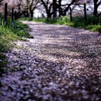 创业很辛苦的句子