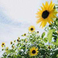 抖音搞笑短句子大全 搞笑抖音说说短语