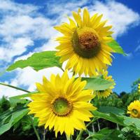 和女朋友出去玩她闺蜜 你和异性闺蜜最难忘的一次