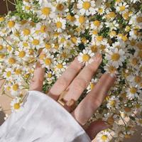 俯首称臣校园HI车*（英语老师解开裙子坐我腿中间）