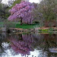 微信朋友圈爱情最火的说说