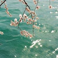 心情比较低落的朋友圈句子