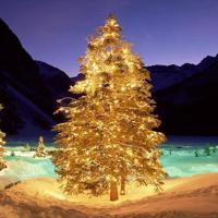 厨房征服贵妇秦风英,全高清录播系统