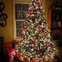 抖音奋斗创业的句子