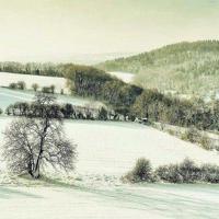 关于爱情分手的句子长句 关于爱情的句子，长的