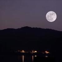 2020最新朋友圈句子