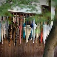 2020抖音个性说说男生专属大全