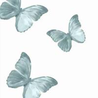 阳光简短励志唯美句子 简短一句话心灵鸡汤