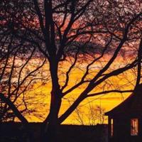 形容自己很痴情的句子 形容痴情的句子