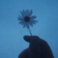 关于幸福的个性签名