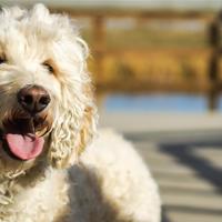 公么吃奶摸下面好舒服 宝宝怎么这么湿~别磨 完整版全文阅读