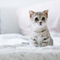 朋友生日的朋友圈说说