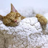 晚安语录正能量微商